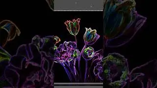 Glowing Edges: Create Electric Neon Outlines!