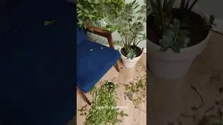 Это ожидание/реальность🤣 