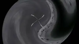 Охота ночью на хищника
