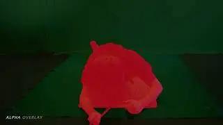 Asset Production - VFX Breakdown