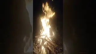 костер на рыбалке #рыбалка #рыболов #рыбалкаскарпятником