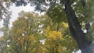 90s R&B Love (Live from a Backyard in Vancouver)
