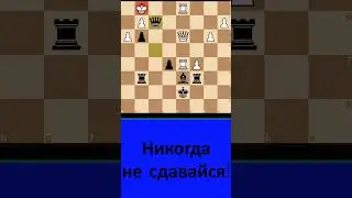 Получил жбан, но заматовал двумя ферзями! 