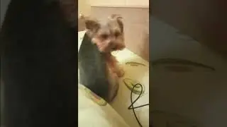 не пускают под одеяло 