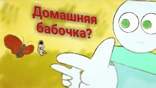 🦋 Домашняя бабочка 🦋
