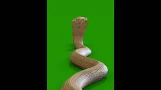 Naagin 2 Shivangi Snake Animation By QHD channel || snake green screen