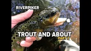 Trout and About part 2 - (video 239)