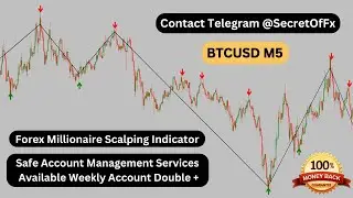 BTCUSD M5 Backtest Working | Forex Account/Fund Management Services | Forex Arrow Indicator