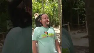 This monkey is taking a MikeBigFrog bath