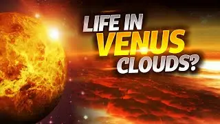 Rocket Lab Venus Mission to Look for Life | Life on Venus?