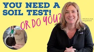 Testing soil tests | Do you need a soil test?