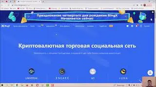 Обзор биржи BingX: копи-трейдинг. Пассивный доход на трейдинге криптовалют