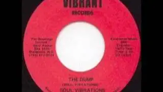 Soul Vibrations 
