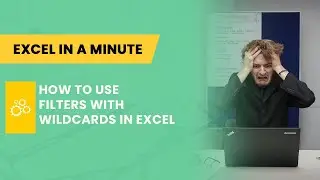 HOW TO USE FILTERS WITH WILDCARDS IN EXCEL BY EXCEL IN A MINUTE
