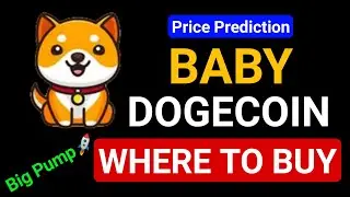 Where to Buy Baby Dogecoin | Baby Doge 1000X Price Pump in 2022 | Buy Baby Doge on Indian Exchange |
