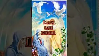 С благовещением, друзья !