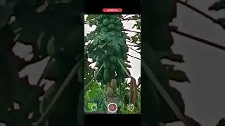 Test kamera zoomnya  si infinix note 40pro 5g #infinix #infinixnote40pro5g #zoom