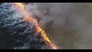 Тематическая программа «Где дым, там и огонь»