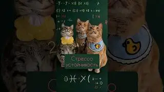 Тест на стрессоустойчивость 