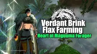 Guild Wars 2: Daily Heart of Maguuma Forager - Flax Farming/Fast Dailies