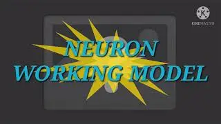 Neuron working model | How to make neuron working model
