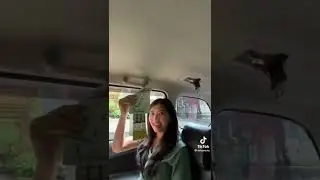 IKUT KAK AVIRA JALAN-JALAN KE TAMAN SAFARI YUK