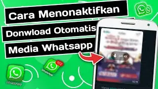 Cara Menonaktifkan Donwload Otomatis Media di Whatsapp