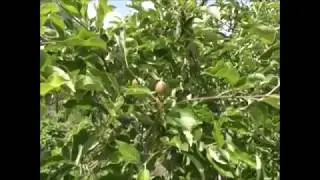 КАК ВЫЖИВАЮТ РОССИЙСКИЕ ПЕНСИОНЕРЫ