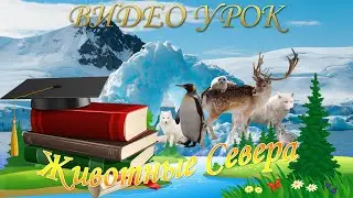 Животные Севера (видео урок для детей от 3 до 5 лет)