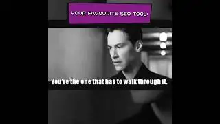 SEO Tools will NOT Get You Ranked 🚫