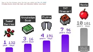 Minecraft: Item Age Comparison (2020)