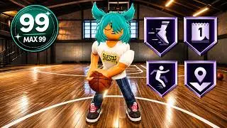 This ALL AROUND POINT GUARD Build is TAKING OVER PRACTICAL BASKETBALL... + ANIMATIONS (BROKEN!?)