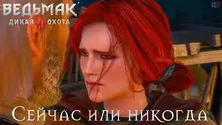 Ведьмак 3 