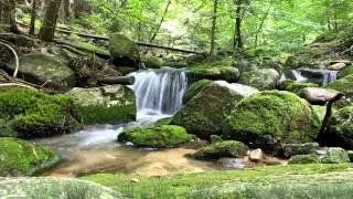 Лесной водопад