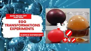 AMAZING EGG TRANSFORMATION EGGSPERIMENTS | Science for kids | Easy Peasy DIY For Kids