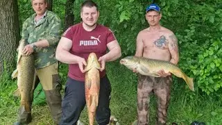 рыбалка в 2023. сазан,карп. #рыбалка #carpfishing