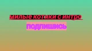 Милые котики с интро в начале