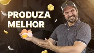 Techniques to keep your CHICKENS healthy and increase EGG and MEAT production | CGL WEBSERIES 3
