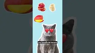 😻🍉 Has your cat tried it yet? Seedless and in small pieces, it makes a great treat.😽 