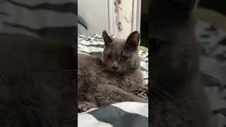 #рекомендации