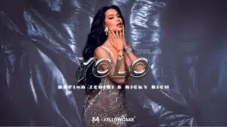 Dafina Zeqiri & Ricky Rich - Yolo (Audio)
