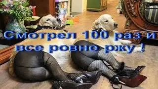 Прикол про интернет))) Жесть!!!