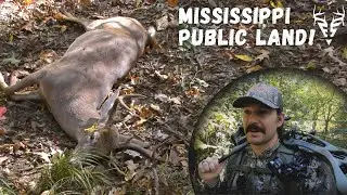 FINALLY got my shot!!| MISSISSIPPI public land buck with a bow!