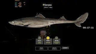 RF4. Норвежское море. Катран ⭐57