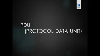 PDU (Protocol Data Unit)