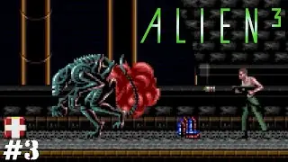 Alien 3 (Прохождение) ▪ Протерианец ▪ #3