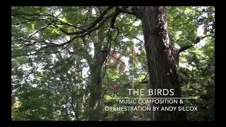 The Birds