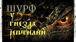 -=ШУРФ=- У ГНЕЗДА РЕПТИЛИЙ.День зачетов.