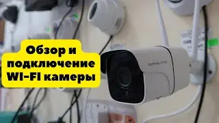 Подключение к телефону и обзор Wi-fi камеры для дома Орбита OT-VNI40