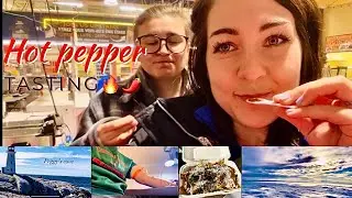 VLOGMAS🎄Alysa needs Surgery?! Trying Authentic Mexican! Work as a Flight Attendant during Holigays.